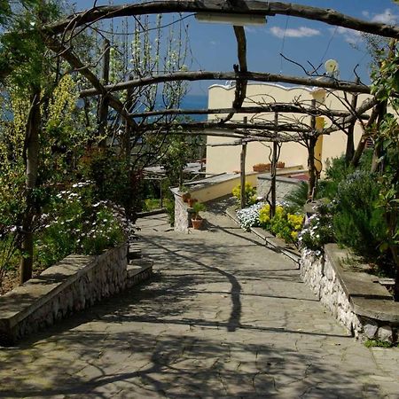 Villa Romantica Massa Lubrense Zewnętrze zdjęcie
